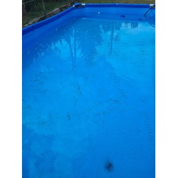 Tinklinis dulkių siurblys baseino dugnui valyti