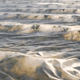 agro-nova agrotekstilė - žiemos apsauga 3,2x10m