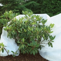 agro-nova agrotekstilė - žiemos apsauga 3,2x10m