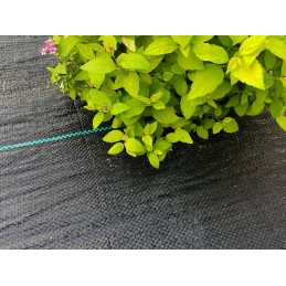 Nuo piktžolių mulčiavimo agrotekstilė 70g/m2 rulone 0,8x50m + inkarai