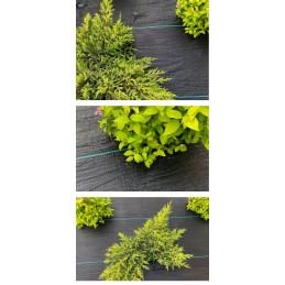 Nuo piktžolių mulčiavimo agrotekstilė 70g/m2 rulone 0,8x50m + inkarai