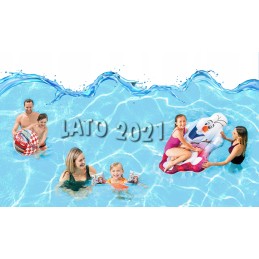 Aliuminio teleskopinis stulpas 279cm 29 8mm intex 29