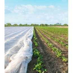 Lenkiška balta agrotekstilė 15g/m2 2,1 x 5 metrų megran