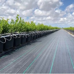 Agrotkanina mulčiavimo kilimėlis nuo piktžolių