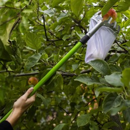 Teleskopinis rinktuvas – vaisių surinkimo įrenginys