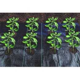 Kaip pateikti užsakymą