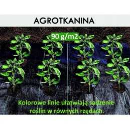 Kaip pateikti užsakymą