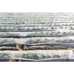 Lenkiška agrotekstilės danga, spyruoklinė, atspari šalčiui, 4,2 x 10 m, 23 g, balta, sutvirtinti kraštai