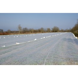 Lenkiška agrotekstilės danga, spyruoklinė, atspari šalčiui, 4,2 x 10 m, 23 g, balta, sutvirtinti kraštai