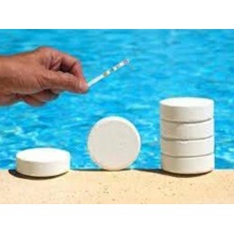 Plaukimo baseino cheminių medžiagų dozatoriaus tinklinio termometro rinkinys