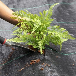 Nuo piktžolių agrotekstilė agrotekstilė 70g juoda 1,1x50m UV 3% + kaiščiai