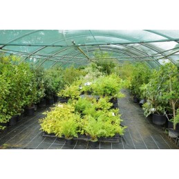 Agrotella mulčiavimo audinys nuo agritella piktžolių