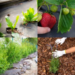 Juoda agrotekstilė nuo piktžolių žievei ir krūmams 50m x 0,8m 50g