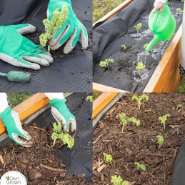 ⭐shopsense – parduotuvė su jausmu⭐