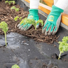 ⭐shopsense – parduotuvė su jausmu⭐