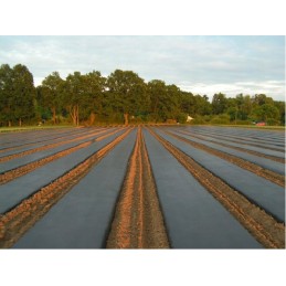 Agrotekstilė nuo piktžolių