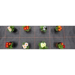 Agrotekstas juodas 100g m2 1 6x5m
