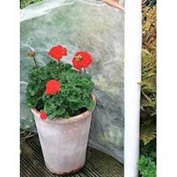 Balta žieminė agrotekstilė 50 gr, plotis 75 cm x 1 m UV