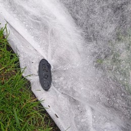 Agrowloknina wiosenna p17 1 6x50m agro nova