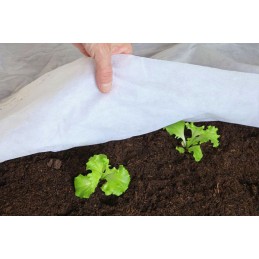 Agro neaustinis baltas lagingas 3,2x10m