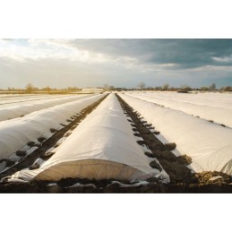 Lenkiška žieminė agrotekstilė, balta, 0,4x100m, 50g