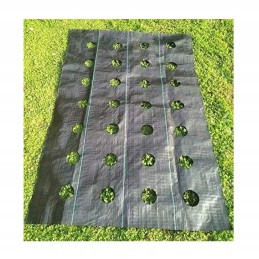 Žemės ūkio audinys piktžolėms su skylutėmis 160 cm x 5 metrai