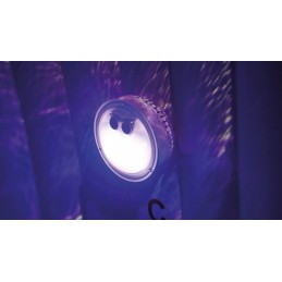 Intex 28503 daugiaspalvė LED SPA lempa