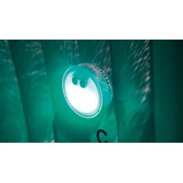 Intex 28503 daugiaspalvė LED SPA lempa