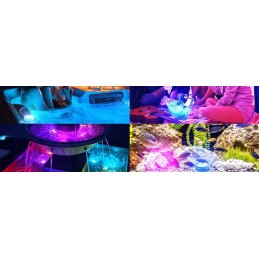 4x povandeninio baseino apšvietimas RGB LED lempa su nuotolinio valdymo pulteliu