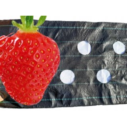 Agrotekstilė nuo piktžolių su paruoštomis skylutėmis agurkams, braškėms, avietėms, mėlynėms, gėlėms, dekoratyviniams medžiams ir