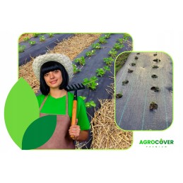 Žemės ūkio audinys braškėms su skylutėmis, 2 eilės + 10 tvirtinimo kaiščių