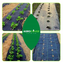 Žemės ūkio audinys braškėms su skylutėmis, 2 eilės + 10 tvirtinimo kaiščių