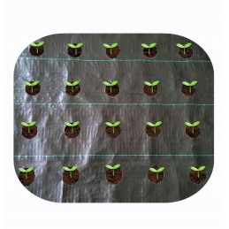 Agrotekstilė, skylutės daigams, 1,6 x 5 m, storis, 95 g