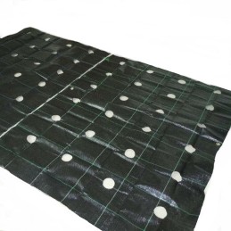 Agrotekstilė, skylutės daigams, 1,6 x 5 m, storis, 95 g