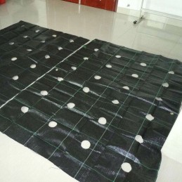 Agrotekstilė, skylutės daigams, 1,6 x 5 m, storis, 95 g