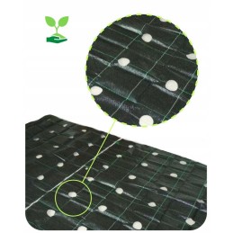 Agrotekstilė, skylutės daigams, 1,6 x 5 m, storis, 95 g