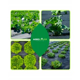 Agrotekstilė, skylutės daigams, 1,6 x 5 m, storis, 95 g