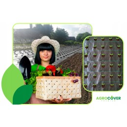 Agrotekstilė, skylutės daigams, 1,6 x 5 m, storis, 95 g