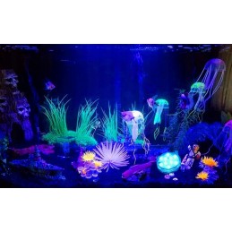 Akvariumo apšvietimo baseino šviestuvai 2 vnt vandeniui atsparus IPX8 LED RGB nuotolinio valdymo pultas