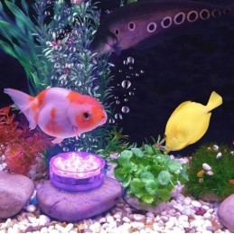 Akvariumo apšvietimo baseino šviestuvai 2 vnt vandeniui atsparus IPX8 LED RGB nuotolinio valdymo pultas