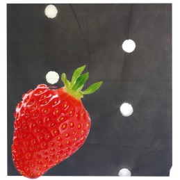 Agrotekstilė, skylutės braškėms, 80 cm x 10 m