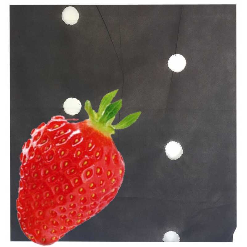 Agrotekstilė, skylutės braškėms, 80 cm x 10 m