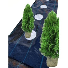 Žemės ūkio audinys didelės skylės tujoms kas 50cm 1 1x10m