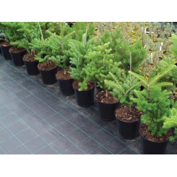 Agrotkanina nuo piktžolių 94g m2 1 6x10mb megran