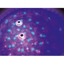 Bestway LED baseino lempa 58419