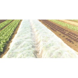 Balta žieminė agrotekstilė, plotis 6,35 m x 10 metrų, apsauga nuo šalčio