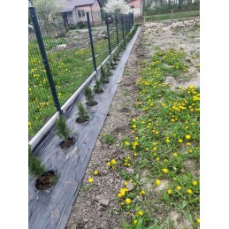 Agrotkanina nuo piktžolių kilimėlio heva | ritinys 0,8x50m, svoris 70g/m2