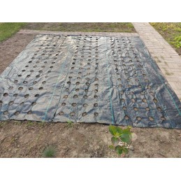 Agrotekstilė nuo piktžolių su paruoštomis skylutėmis agurkams, braškėms, avietėms, mėlynėms, gėlėms, dekoratyviniams medžiams ir