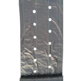 Žemės ūkio audinys piktžolėms su skylutėmis 80 cm x 10 m