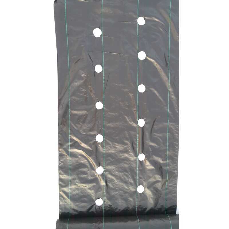 Žemės ūkio audinys piktžolėms su skylutėmis 80 cm x 10 m